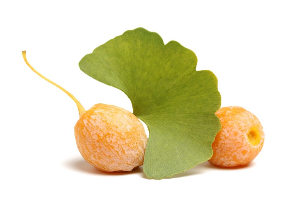 Ginkgo Biloba στο Erectil